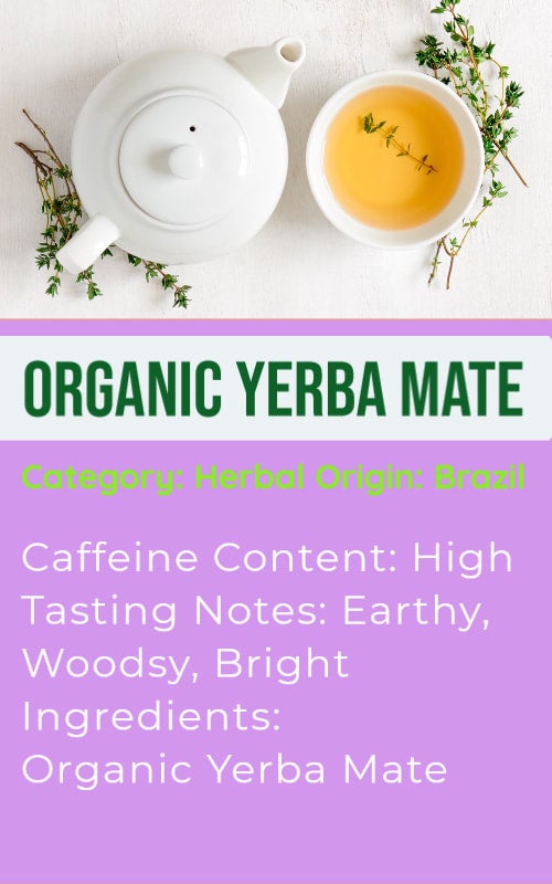 Yerba Mate Benefits